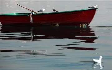 تفریحات دریاچه چیتگر چیست؟
