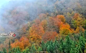 گزارش تصویری | گیلان؛ مقصدی رویایی برای عاشقان پاییز