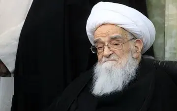 آیت‌الله صافی گلپایگانی بر رعایت توصیه‌های پزشکی توسط مردم تاکید کرد