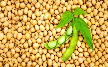 این خوراکی‌ها جایگزین لبنیات هستند