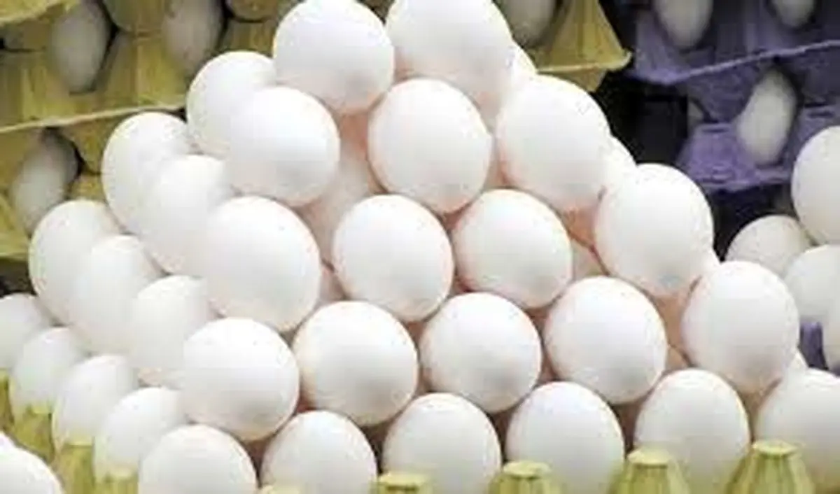 تخم مرغ گران می‌ شود؟

