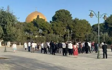 3 سناریو احتمالی برای رخدادهای فردای مسجد الاقصی