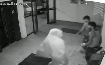 خوشحالی سارقان منزل مسکونی روبروی دوربین مداربسته!+فیلم