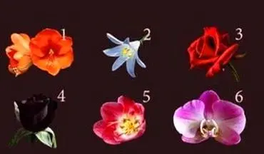 با انتخاب یکی از گل‌ها، احساسات شما لو می‌رود/ انتخاب کن تا بهت بگم!
