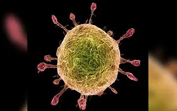 رفتار "آنفلوآنزا" امسال معمولی نبود!