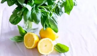 ترفندهای عالی برای تازه نگهداشتن لیمو در خانه