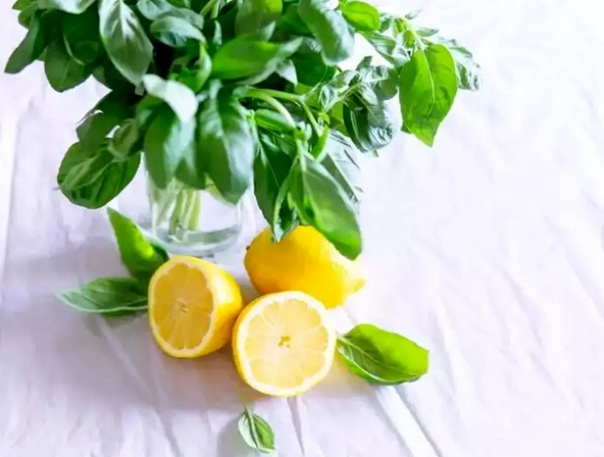 ترفندهای عالی برای تازه نگهداشتن لیمو در خانه