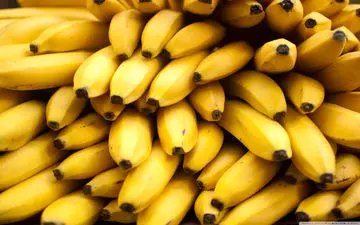 واردات موز تسهیل شد
