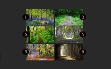 تست روانشناسی | مسیری که جذبت کنه و انتخابش کنی، شخصیت و آینده تو رو فاش می‌کنه
