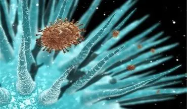 جوان ۲۶ ساله نخستین قربانی آنفلوانزا در هرمزگان