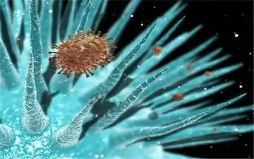 جوان ۲۶ ساله نخستین قربانی آنفلوانزا در هرمزگان