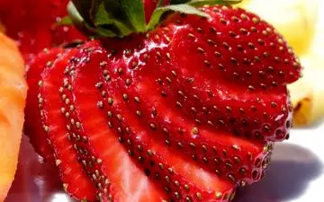 از خواص توت فرنگی چه می دانید؟