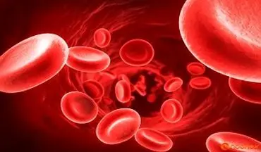 بررسی درمان بیماری های خونی با سلول های بنیادی 