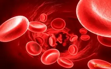 بررسی درمان بیماری های خونی با سلول های بنیادی 