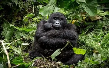  عکس منتخب نشنال جئوگرافیک | امنیت