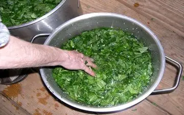 سبزی خشک شده یا فریز شده کدام یک بهتر است؟