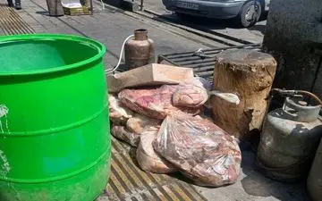 ۵۰۰ کیلوگرم گوشت فاسد در تهران کشف و امحا شد