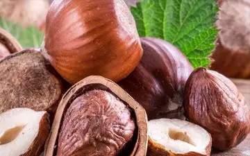 آشنایی با خواص یک مشت فندق