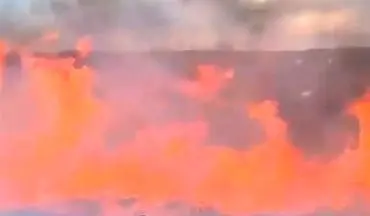 آتش‌سوزی گسترده در نزدیکی پایگاه نظامی اسرائیل؛ تلاش برای مهار آتش ادامه دارد

