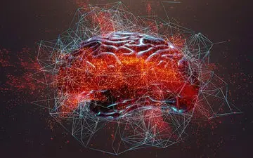 مغز انسان را از این زاویه هرگز ندیده‌اید!