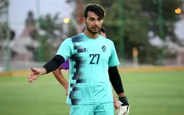 مهدی امینی: شیخ‌ویسی همیشه برایم یک الگوی بزرگ بوده است