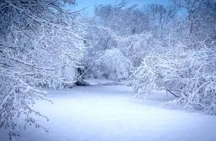 برف ۱ متری در راه است | خبر خوش هواشناسی برای مردم ایران تا پایان آذر ۱۴۰۴