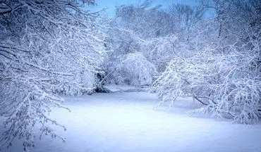 برف ۱ متری در راه است | خبر خوش هواشناسی برای مردم ایران تا پایان آذر ۱۴۰۴