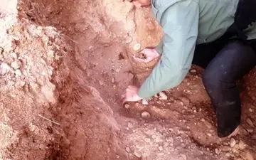  پیکر ۴ شهید دفاع مقدس در یادمان قلاویزان پیدا شد