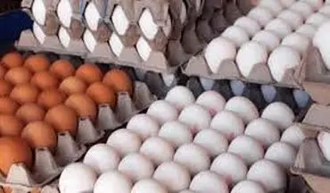 
علت دو نرخی بودن تخم مرغ در بازار چیست؟
