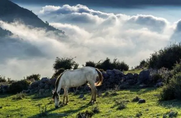 فیلبند زندگی روی ابرها