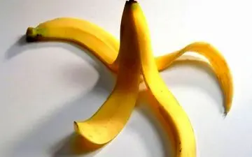 به جای دور ریختن پوست موز این گونه از آن استفاده کنید