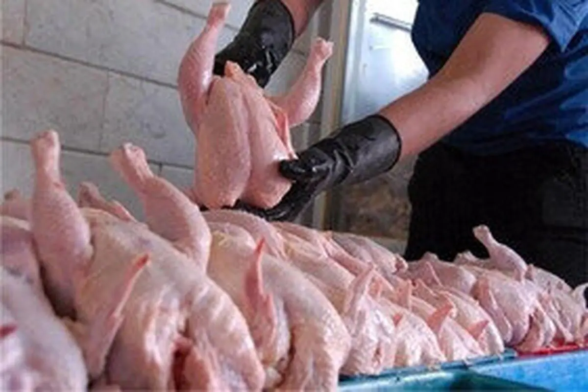 
پیش بینی کمبود مرغ از مردادماه در بازار اهواز