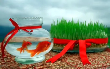 محل‌های جمع آوری ماهی قرمز و سبزه نوروز در شهر کرمانشاه مشخص شد
