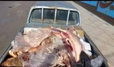 کشف و امحاء بیش از ۲ تن گوشت و آلایش آلوده از سطح شهر کرمانشاه