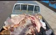 کشف و امحاء بیش از ۲ تن گوشت و آلایش آلوده از سطح شهر کرمانشاه