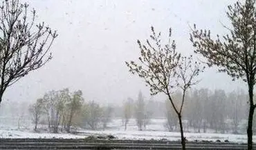  برف بهاری در ۸ استان