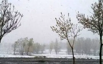  برف بهاری در ۸ استان