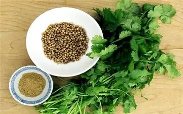 گیاهی خارق العاده برای کاهش قند خون و ضد دیابت
