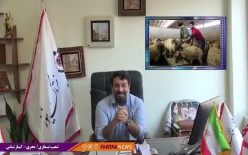 سناریو جدید مدیرعامل دامداران کشور برای افزایش قیمت گوشت قرمز 