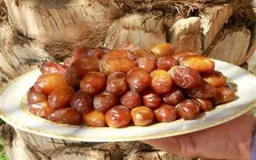  صادرات خرما ممنوع شد