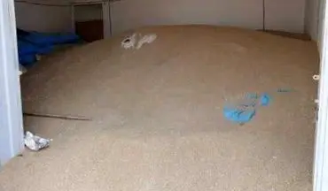 کشف 70 میلیارد جو احتکار شده در کرمانشاه