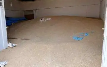 کشف 70 میلیارد جو احتکار شده در کرمانشاه