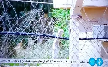 اعلام آمار کشته‌شدگان اعتراضات اخیر