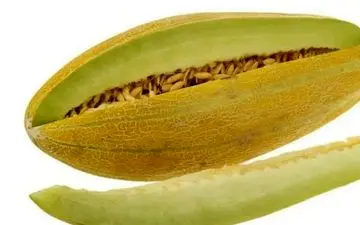 نقش باور نکردنی خربزه در تنظیم فشار خون