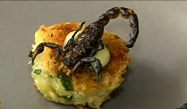 تزئین غذا با حشرات! 