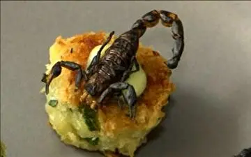 تزئین غذا با حشرات! 