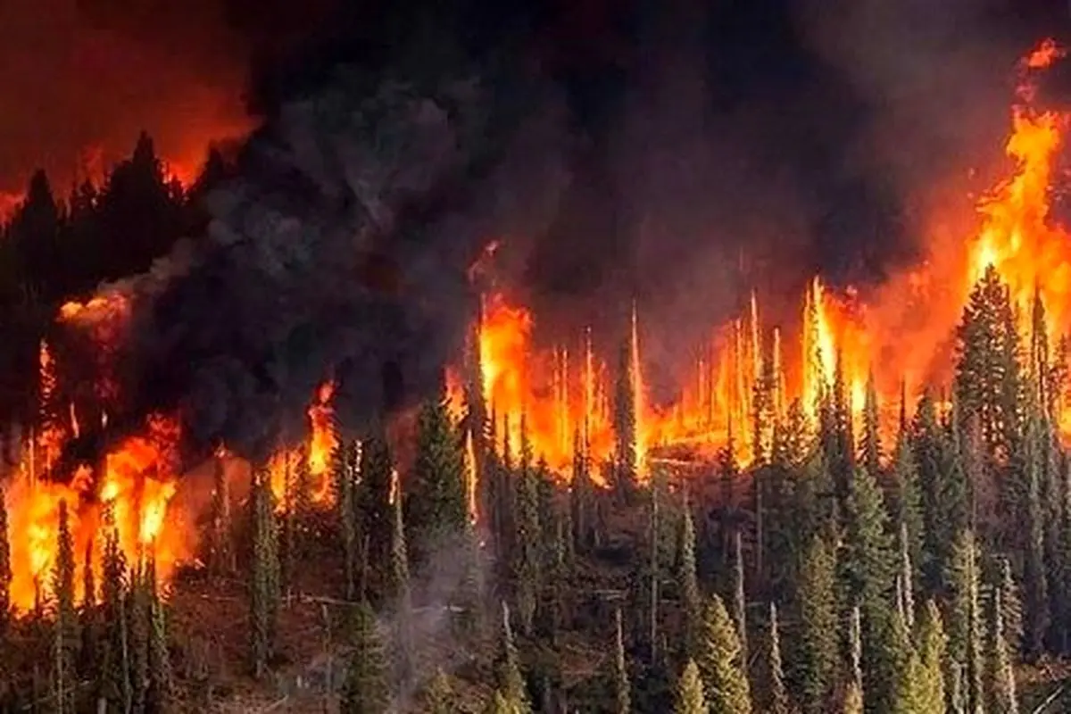 
تبعات آتش‌سوزی نقطه‌ای در جنگل‌ها و مراتع
