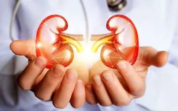 سنگ کلیه را با این ۶ نوشیدنی طبیعی فوق العاده، دفع کن!