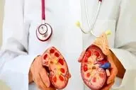 زنگِ خطرِ کلیه‌ها به صدا درآمد/ چرا سنگِ کلیه اینقدر شایع شده است؟