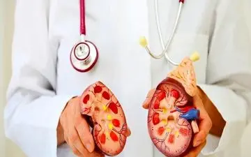 زنگِ خطرِ کلیه‌ها به صدا درآمد/ چرا سنگِ کلیه اینقدر شایع شده است؟